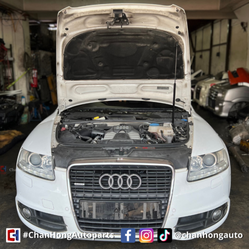 AUDI A6 CAJ Engine Half Cut