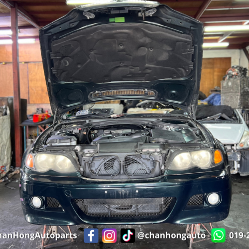 BMW 3 Series E46 320i M54 Engine Half Cut