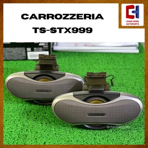 Pioneer Carrozzeria TS-STX999 Satellite Speaker [Rugby][Original from Japan][Used]