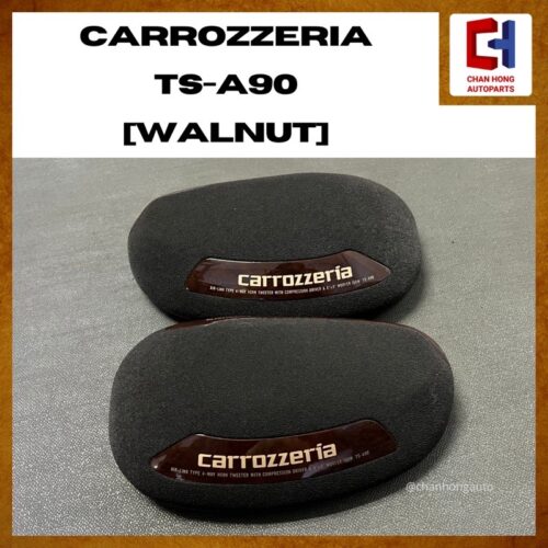 Carrozzeria TS-A90 [Speaker Bantal] [Walnut] [Used]