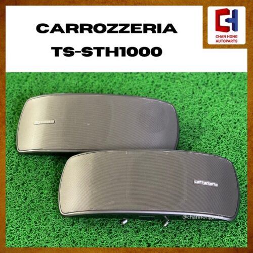 Pioneer Carrozzeria TS-STH1000 Satellite Speaker [Original from Japan][Used]