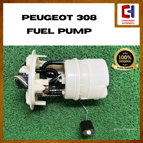 Peugeot 308 Fuel Pump [Original from France][Used]