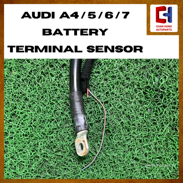 Audi A4 / 5 / 6 / 7 Battery Terminal Sensor [8T0915181][Original from Germany][Used] - Image 2